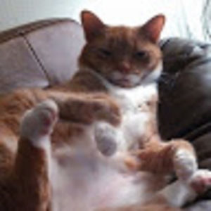 Meet your Posher, Tina